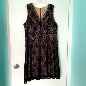 Lace Cocktail Dress